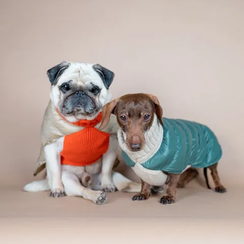 Cashmere/Down - Dog Sweater - Lilly Bird Puffer Sweater - 3 Color Options