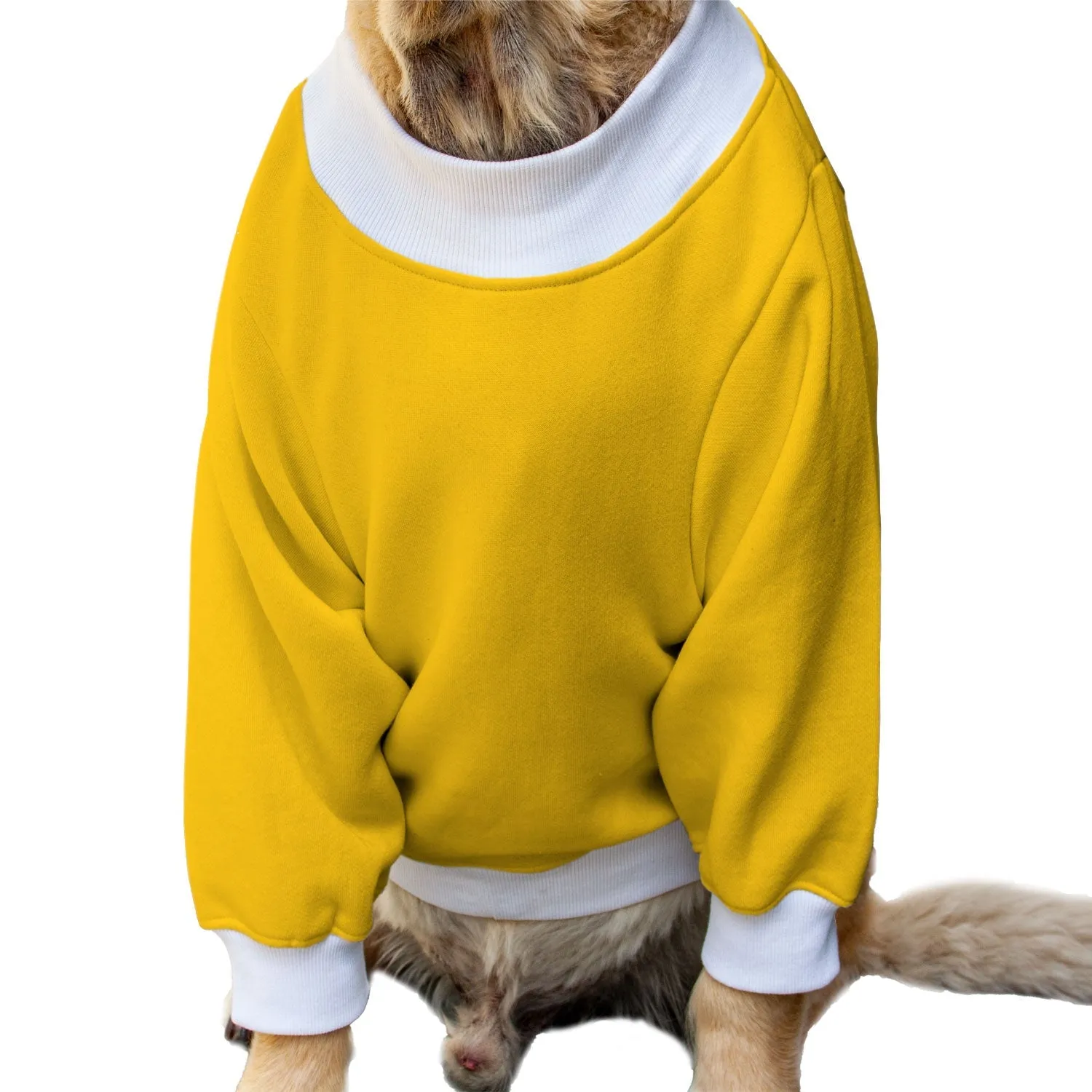 Ruse 'Basics' "I Am Upto Snow Good" Printed Crew Neck Full Sleeve Sweatshirt For Dogs