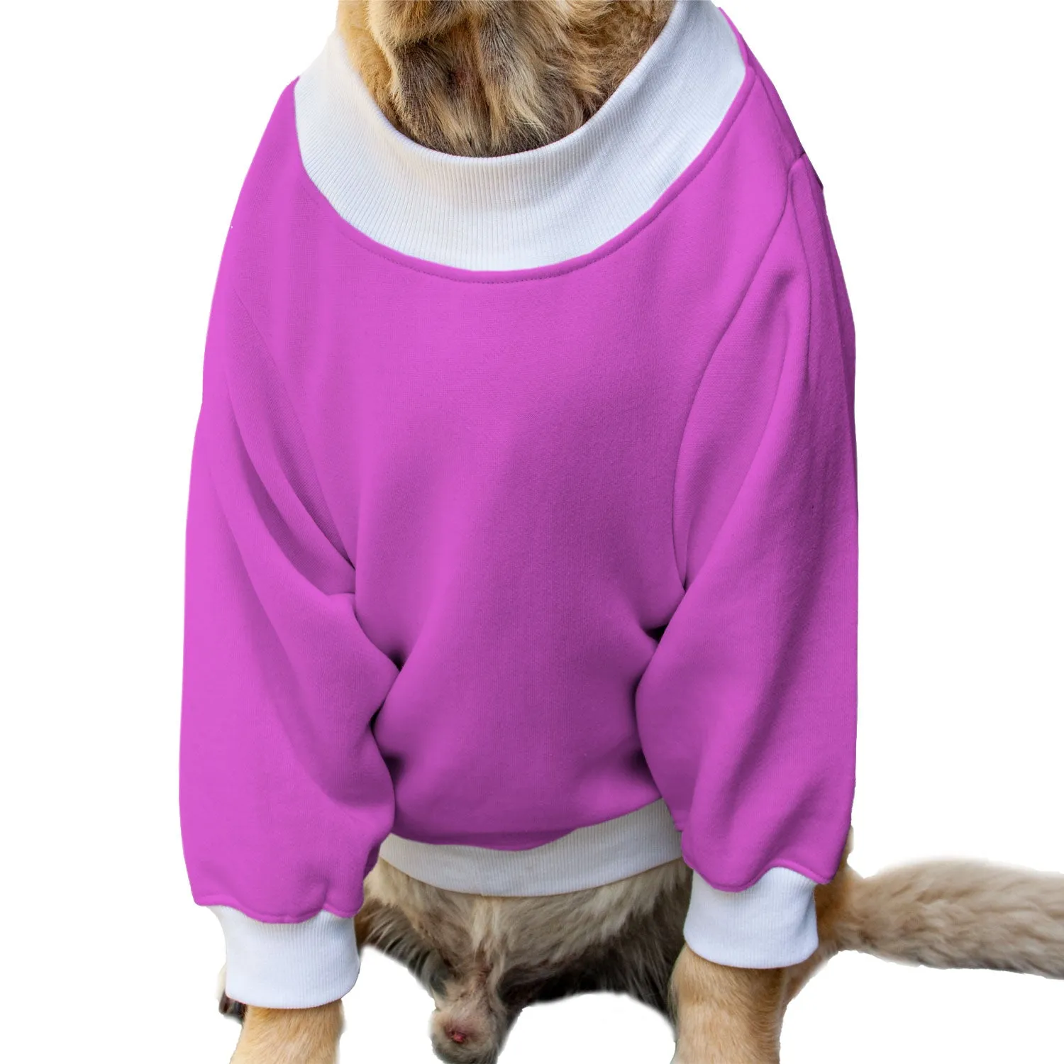 Ruse 'Basics' "I Am Upto Snow Good" Printed Crew Neck Full Sleeve Sweatshirt For Dogs